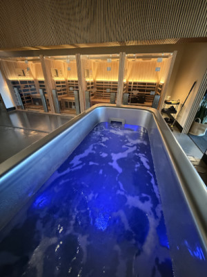 Synergy Wellness Studios